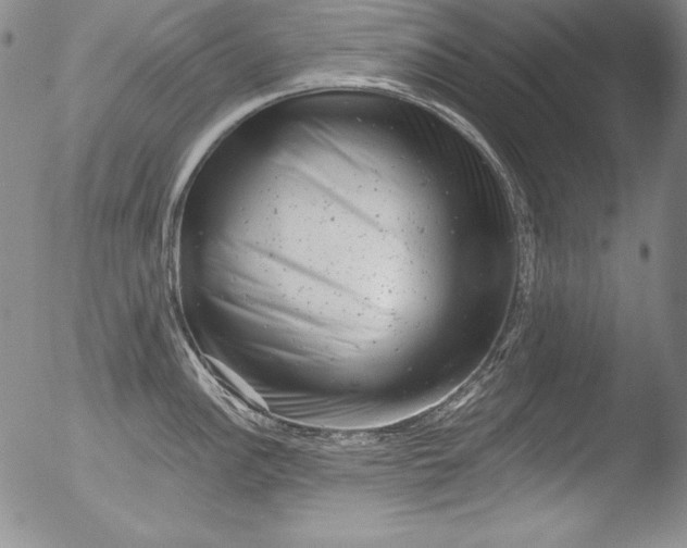 X0000051861148200507081816