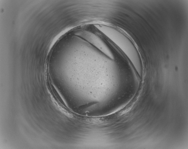 X0000051861149200507081816