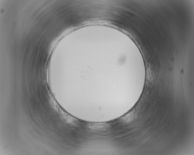 X0000051861150200507081816