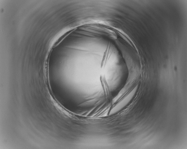 X0000051861151200507081816