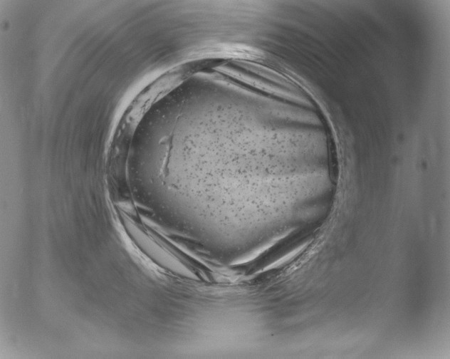 X0000051861152200507081816