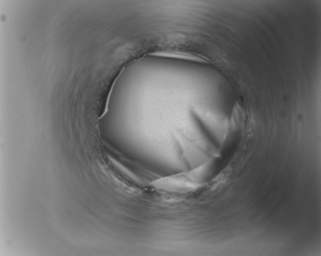 X0000051861153200507081815