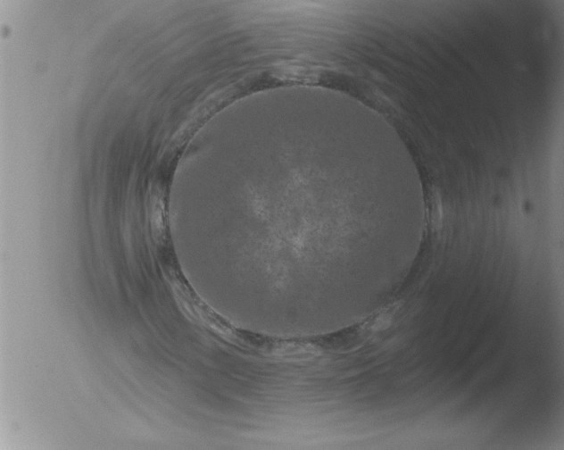 X0000051861154200507081815