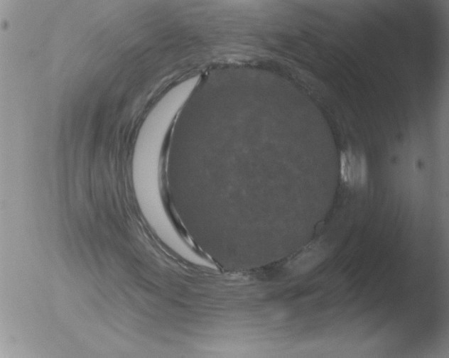 X0000051861155200507081815