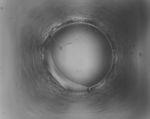 X0000051861157200507081815