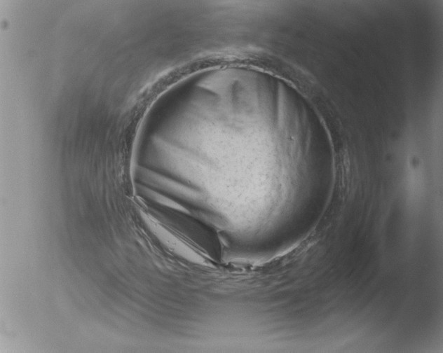 X0000051861158200507081815