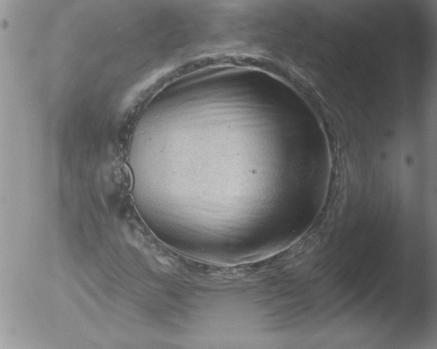 X0000051861159200507081815