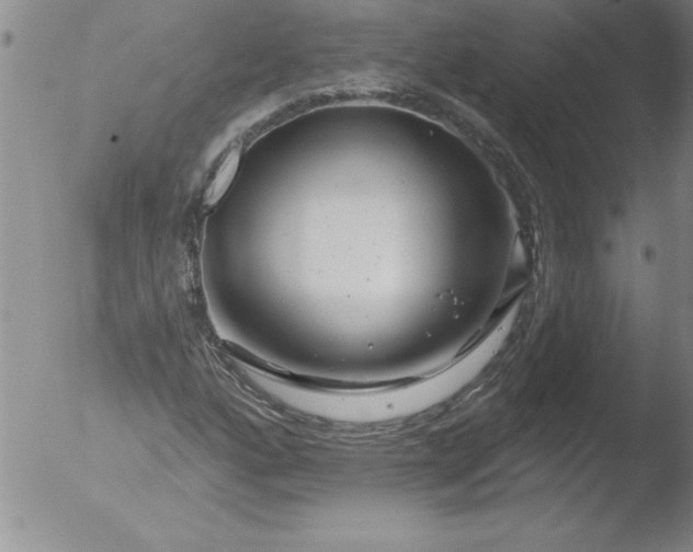 X0000051861160200507081815