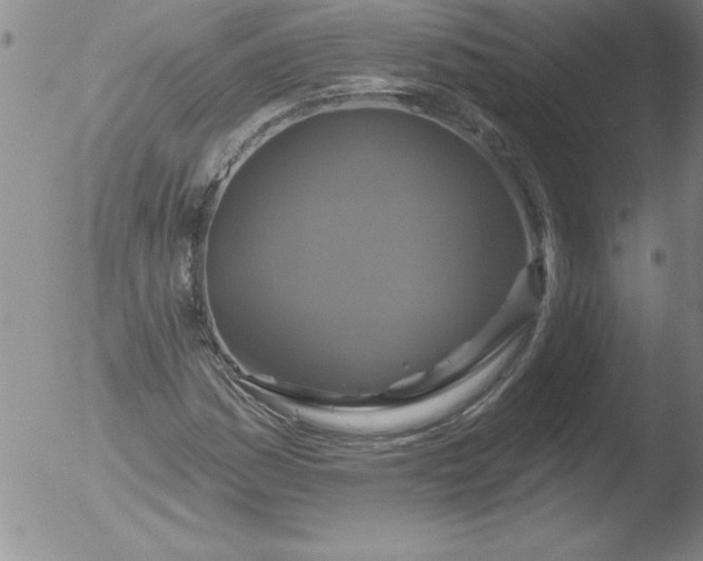 X0000051861161200507081815