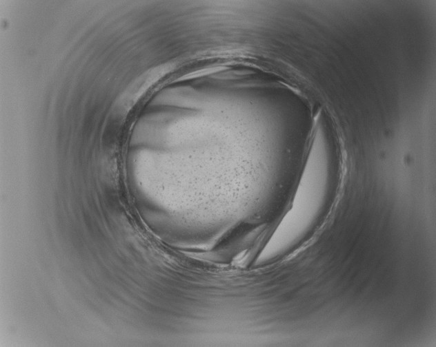 X0000051861162200507081815