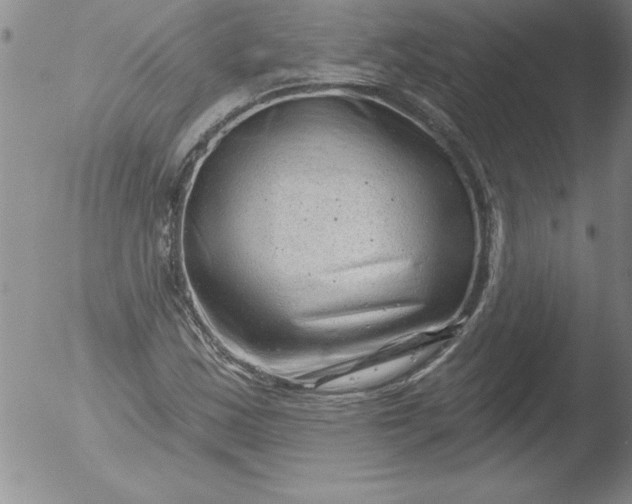 X0000051861163200507081815