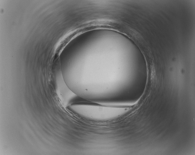 X0000051861164200507081815