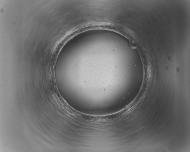 X0000051861165200507081815