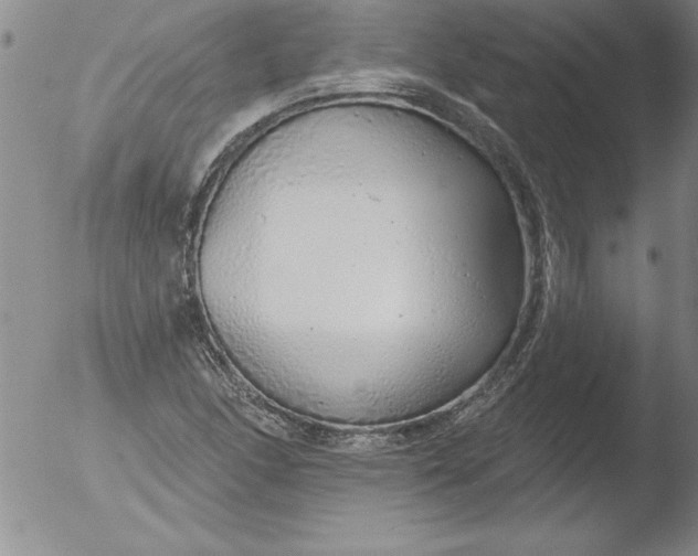 X0000051861166200507081815