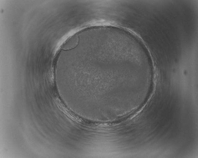 X0000051861167200507081815