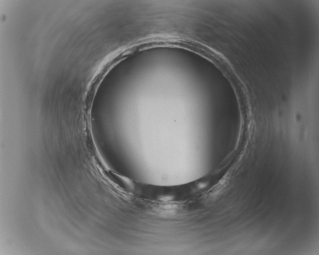 X0000051861168200507081815