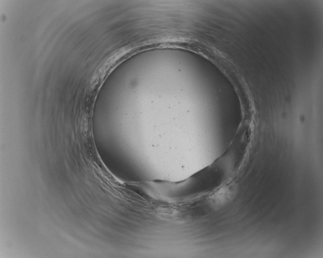 X0000051861169200507081815