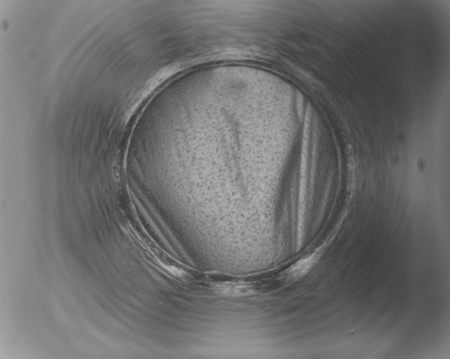 X0000051861170200507081815