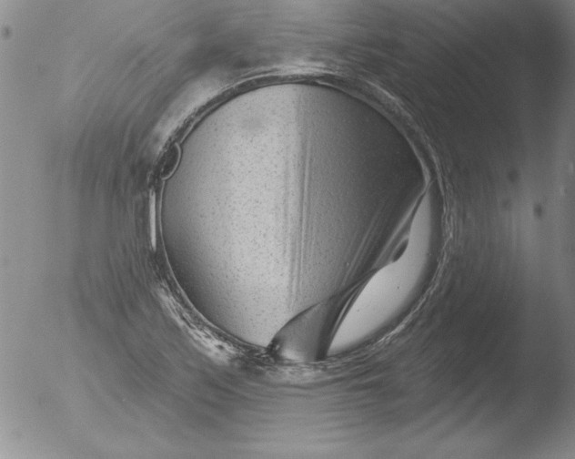 X0000051861171200507081815