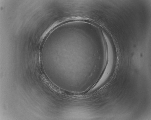 X0000051861173200507081815