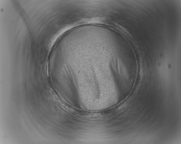 X0000051861174200507081815