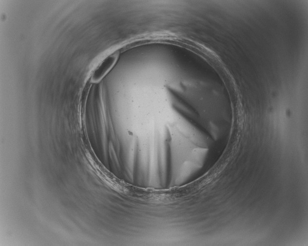 X0000051861176200507081815