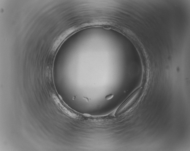 X0000051861177200507081815