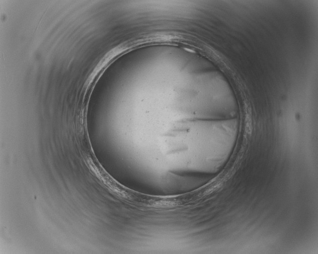 X0000051861178200507081815