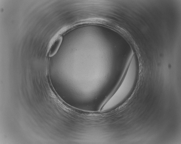 X0000051861180200507081815