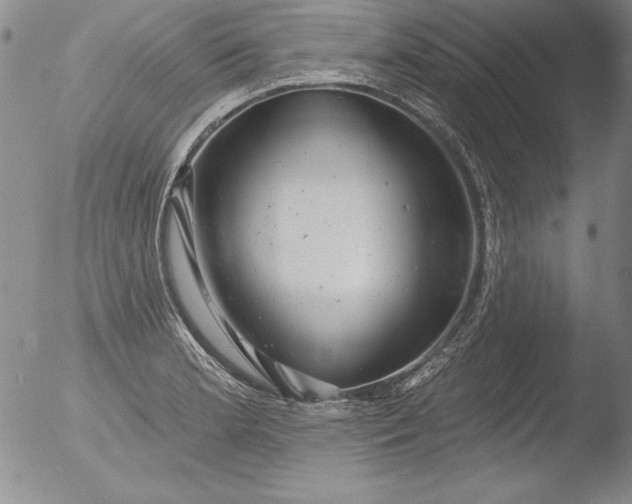 X0000051861181200507081815