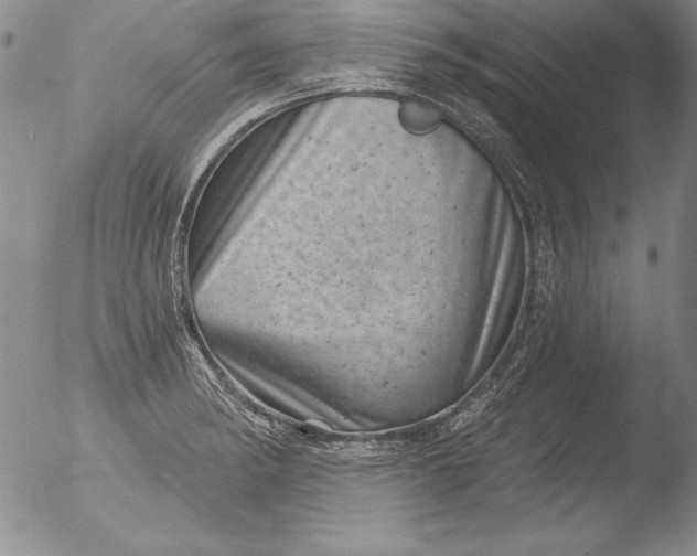 X0000051861182200507081815