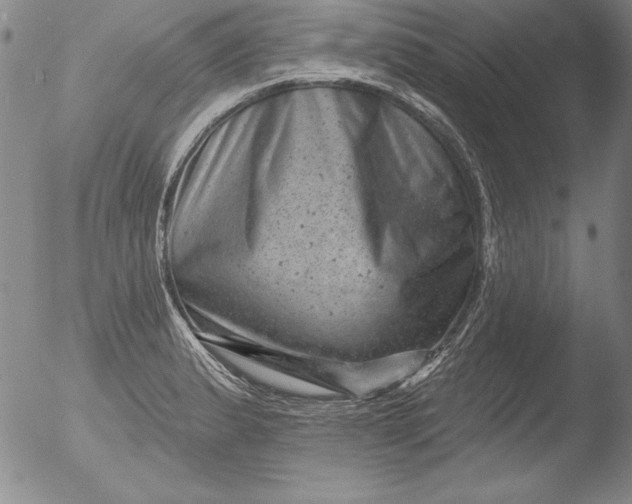 X0000051861183200507081815