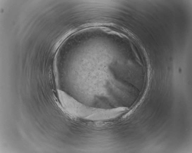 X0000051861185200507081815