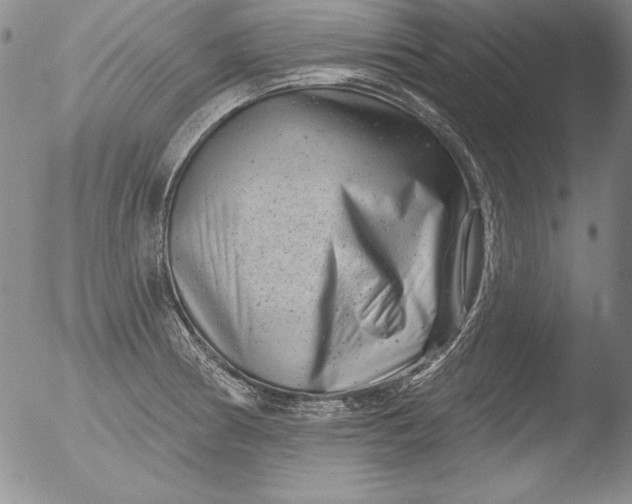 X0000051861186200507081815