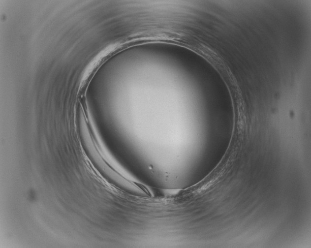 X0000051861188200507081815