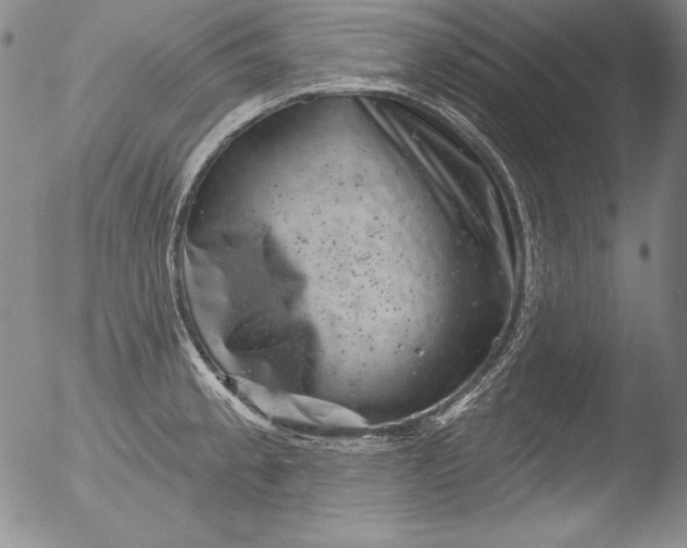 X0000051861189200507081815