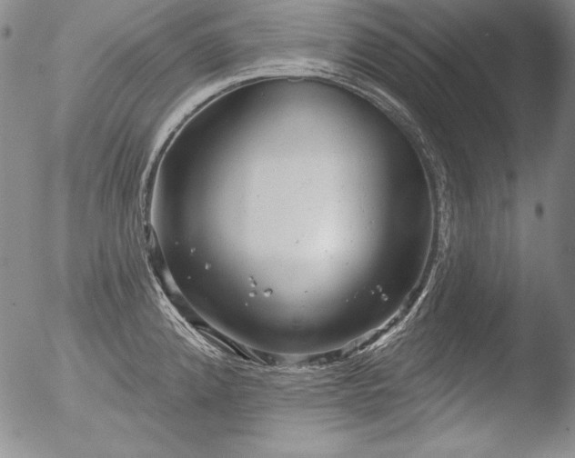 X0000051861192200507081815