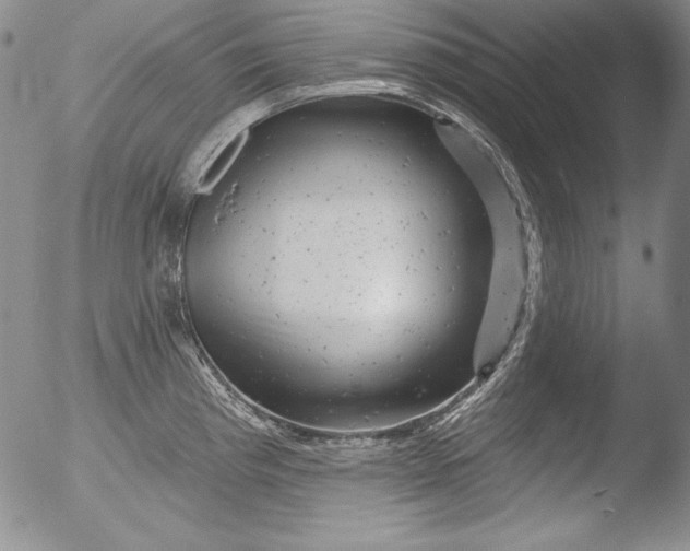 X0000051861193200507081815