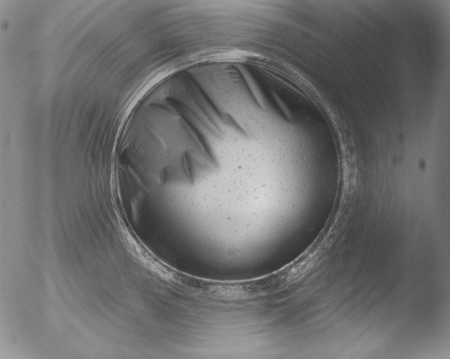 X0000051861194200507081815