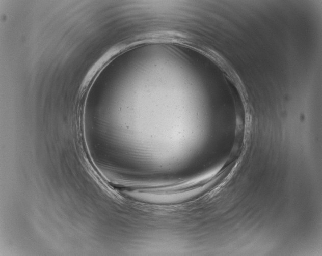 X0000051861196200507081815