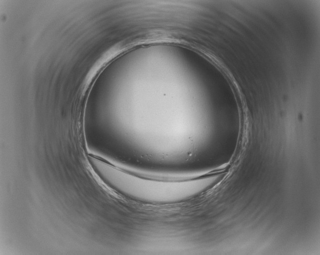 X0000051861197200507081814