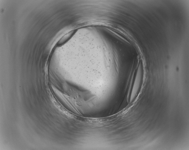 X0000051861198200507081814