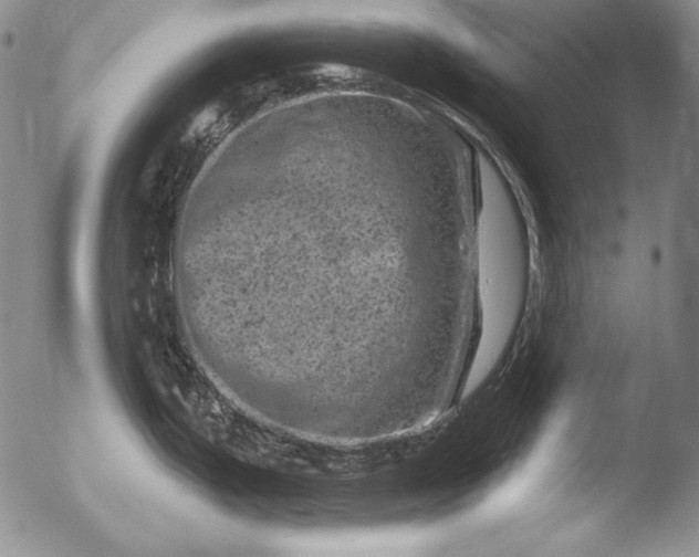 X0000051861199200507081814