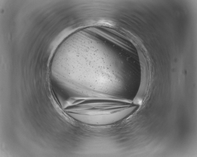 X0000051861200200507081814