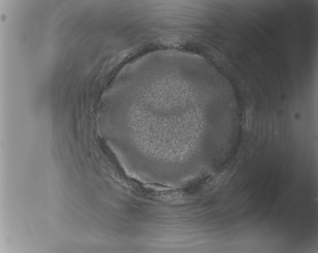 X0000051861201200507081814