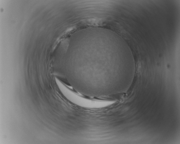 X0000051861202200507081814