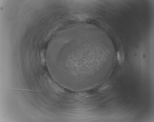 X0000051861203200507081814