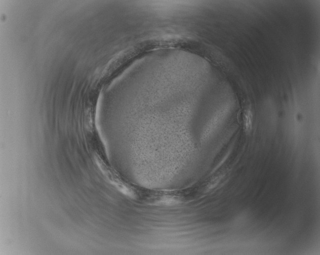 X0000051861204200507081814