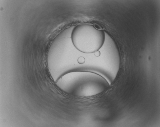 X0000051861205200507081814