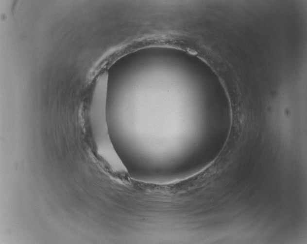 X0000051861206200507081814